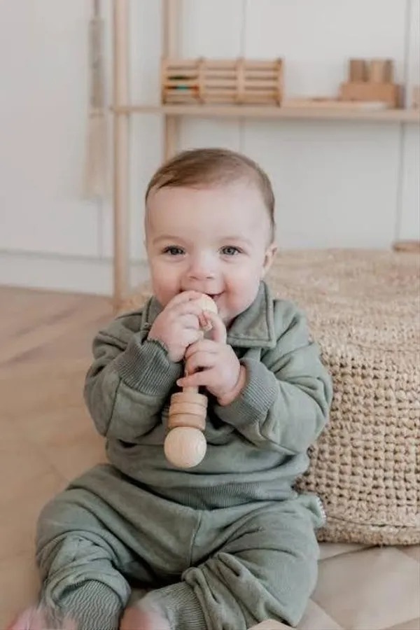 Natural_Neem_Wood_Baby_Rattles_With_Fish_Shaped_And_Strawberry_Shaped_Teether_(Set_Of_Combo_3)