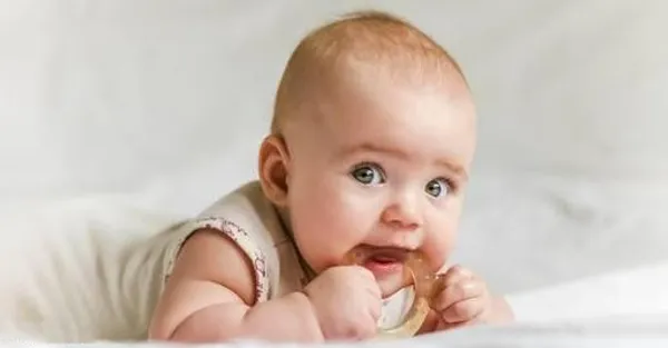 Neem_Wood_Teether_(Set_Of_Combo_4)