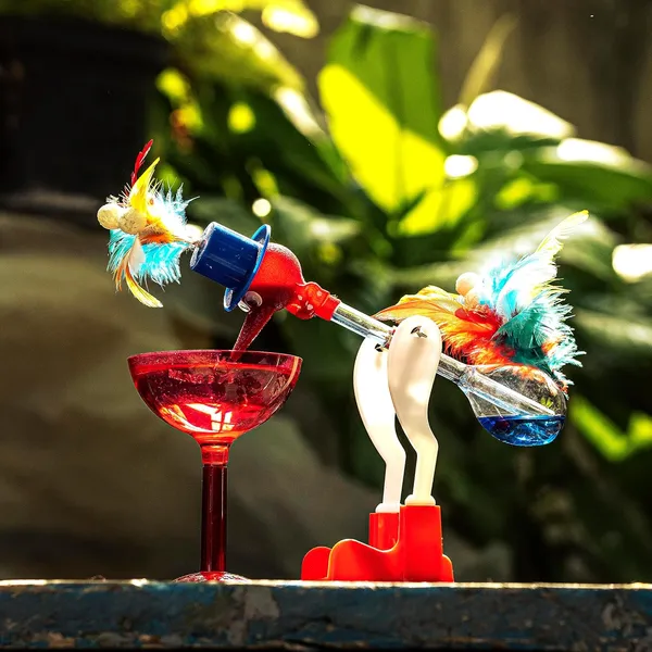 Colorful_Drinking_Bird_Science_Toy_For_Kids_Feathered_Stem_Educational_Toy_Heat_Evaporation_Physics_Model_Desk_Learning_Toy