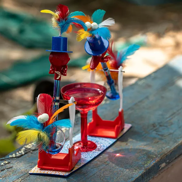 Kid_Colorful_Flower_Shaped_Feather_A_Perpetual_Motion_Drinking_Bird_Delight_Double