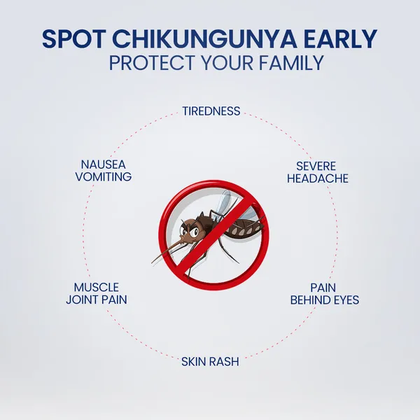 Once_Rapid_Chikungunya_Diy_Home_Detection_Kit_Instant_Blood_Test_Kit