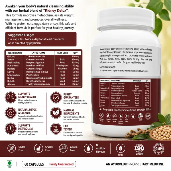 Stergic_Kidney_Detox_Capsules_Ayurvedic_Kidney_Cleanse_Metabolism_Support_60_Capsules