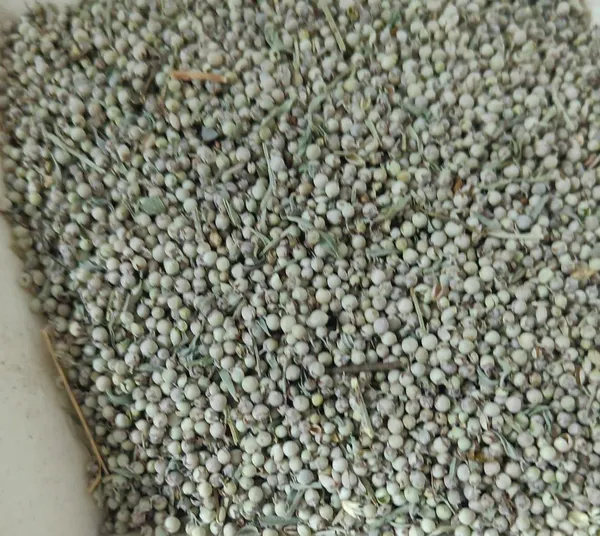 Premium_White_Mustard_Seeds_100G