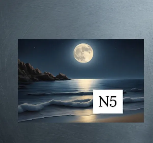 Premium_Plastic_Seascape_Moonlit_Ocean_Blue_Black_Wall_Painting