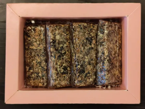 Resin_And_Seed_Healthy_Treats-_Set_Of_4