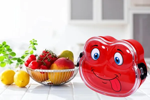 Kids_Lunch_Box_With_Spoon_And_Divider