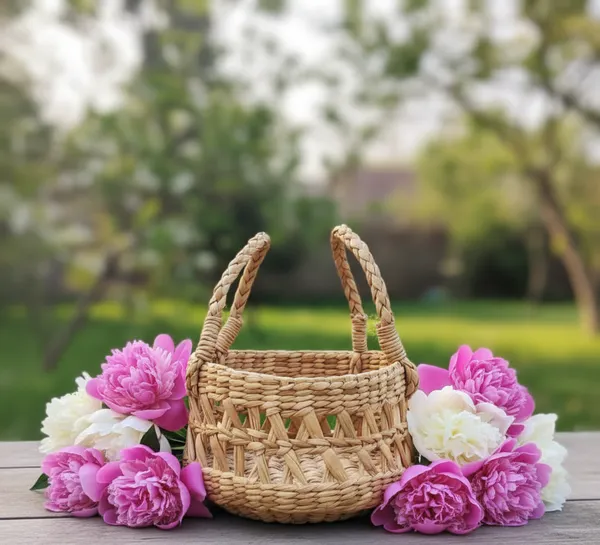 Kauna_Grass_Handwoven_Lattice_Round_Storage_Basket