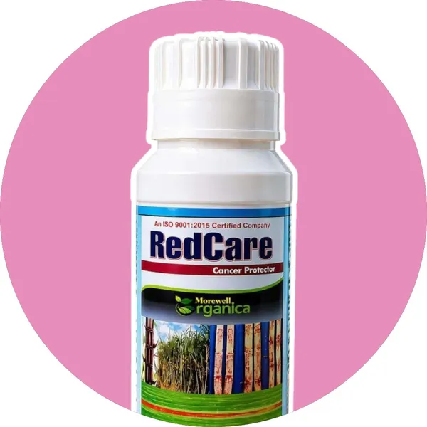 Redcare_Humic-Fulvic_Acid_Sugarcane_Organic_Growth_Regulator