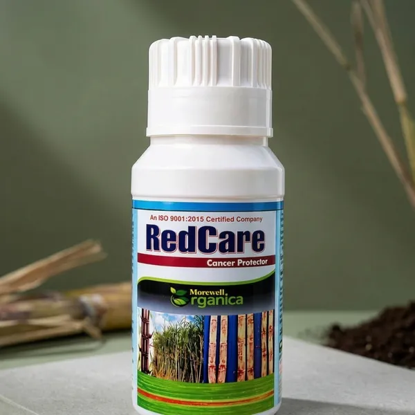 Redcare_Humic-Fulvic_Acid_Sugarcane_Organic_Growth_Regulator