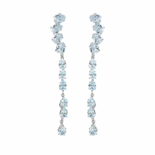 Icy_Elegance_Drop_Earrings