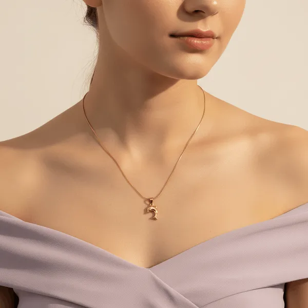 Gold_Steel_Dolphin_Charm_Minimal_Necklace_For_Women