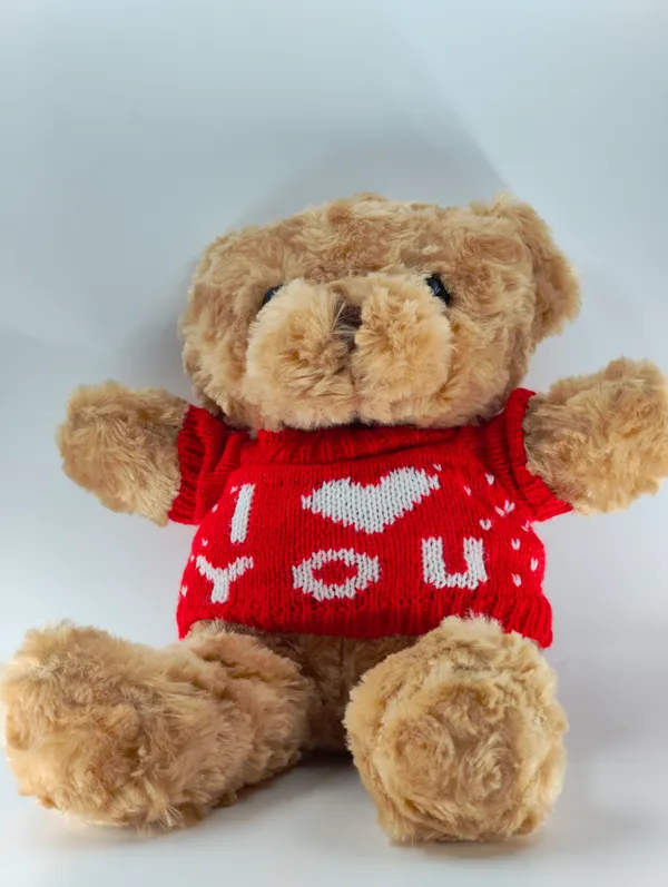 Cute_Teddy_Bear_Soft_Toy_With_Removable_Sweater