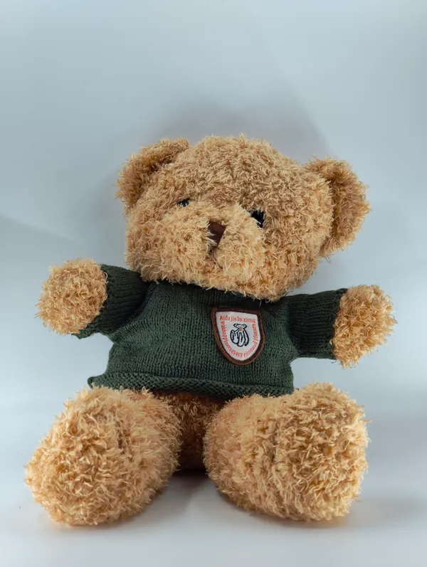 Soft_Brown_Teddy_Bear_With_Green_Sweater