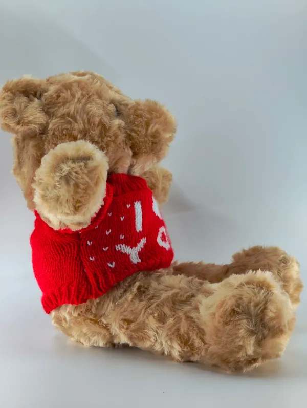 Cute_Teddy_Bear_Soft_Toy_With_Removable_Sweater