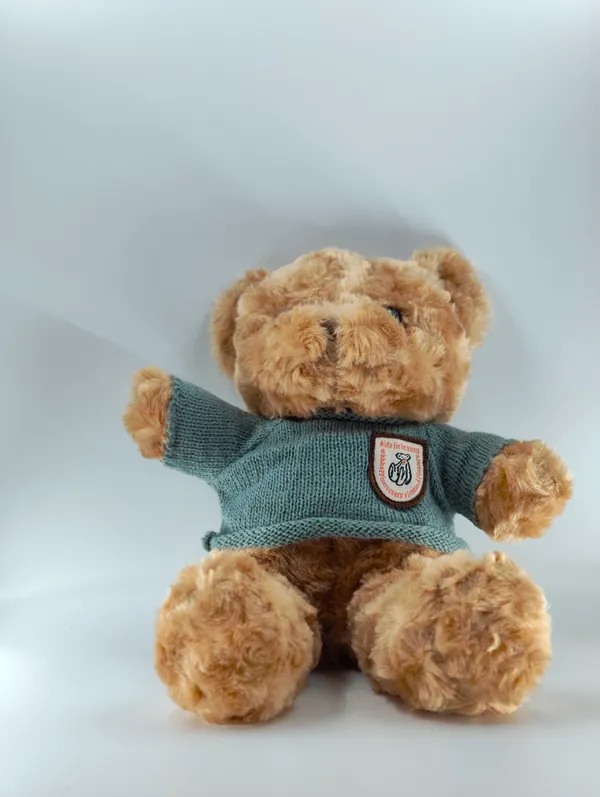 Soft_Teddy_Bear_With_Green_Sweater_Plush_Toy