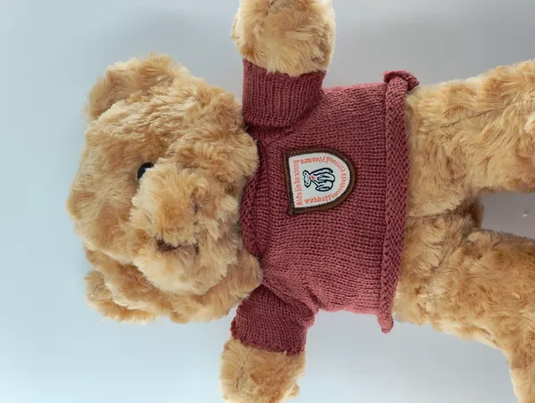 Soft_Plush_Teddy_Bear_Toy_In_Maroon_Sweater