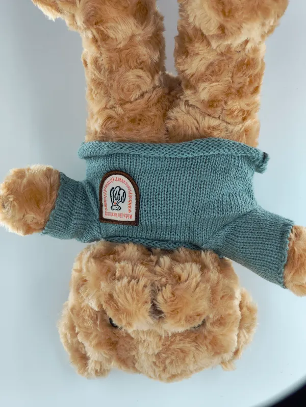 Soft_Teddy_Bear_With_Green_Sweater_Plush_Toy