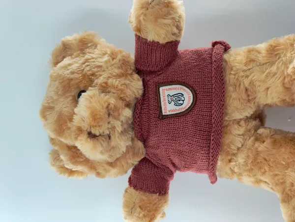 Soft_Plush_Teddy_Bear_Toy_In_Maroon_Sweater