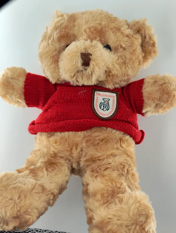 Soft_Plush_Teddy_Bear_With_Red_Sweater