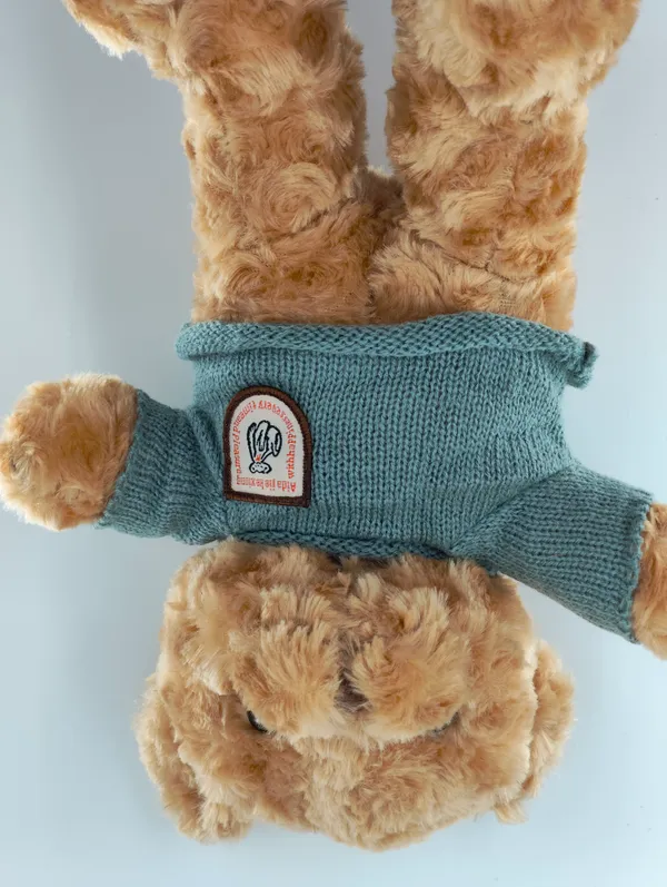 Soft_Teddy_Bear_With_Green_Sweater_Plush_Toy