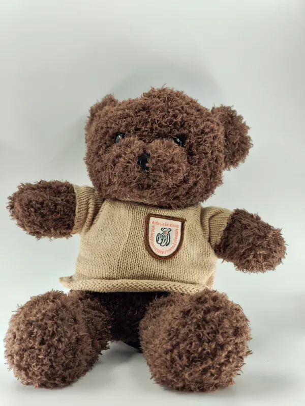 Brown_Teddy_Bear_Plush_Toy_With_Bandage