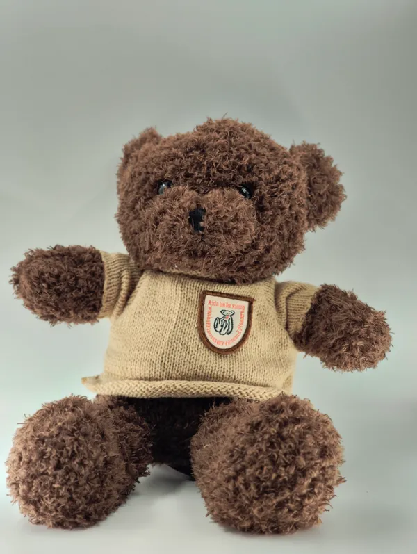 Brown_Teddy_Bear_Plush_Toy_With_Bandage