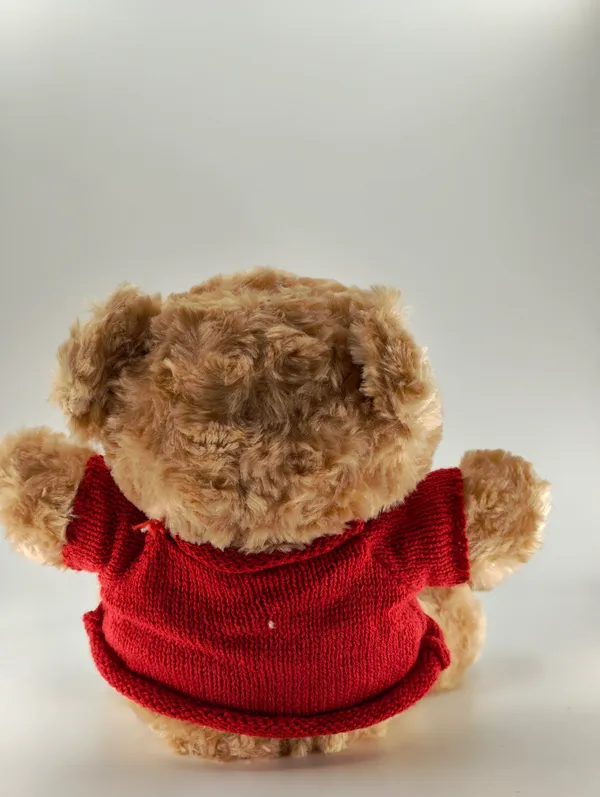 Soft_Plush_Teddy_Bear_With_Red_Sweater