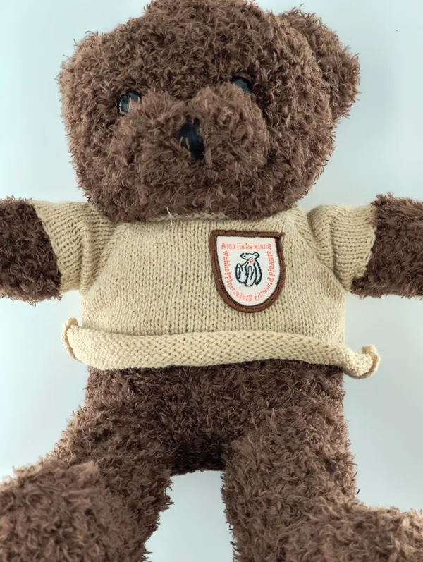 Brown_Teddy_Bear_Plush_Toy_With_Bandage