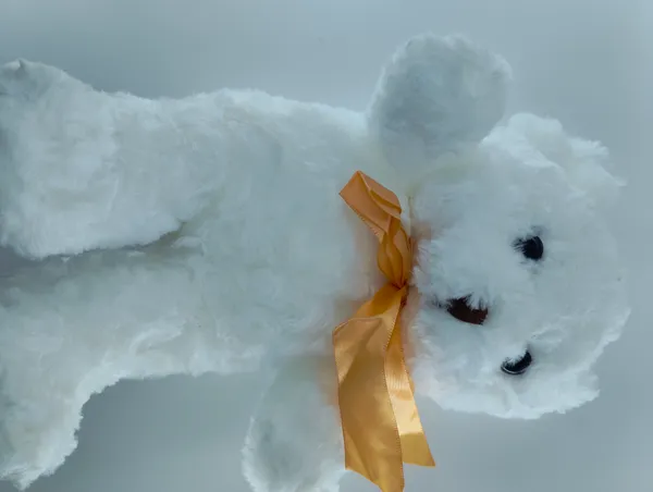 Fluffy_White_Plush_Teddy_With_Orange__Ribbon