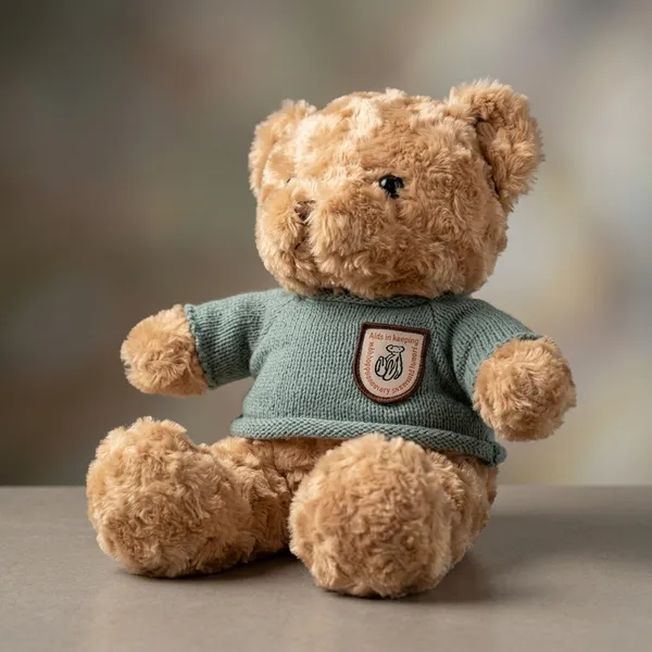 Soft_Teddy_Bear_With_Green_Sweater_Plush_Toy