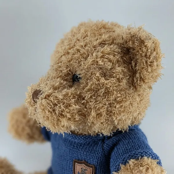 Plush_Teddy_Bear_With_Blue_Sweater
