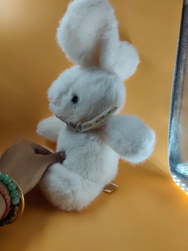 Cute_Snow_Soft_Bunny