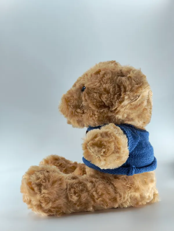 Plush_Teddy_Bear_With_Blue_Sweater