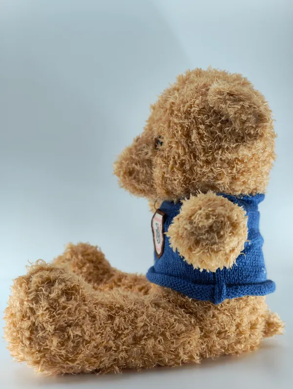 Plush_Teddy_Bear_With_Blue_Sweater