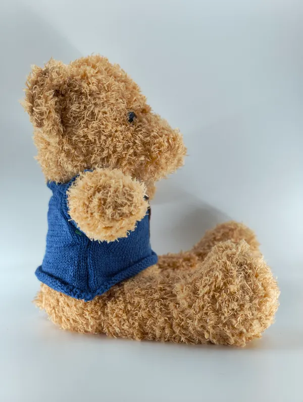 Plush_Teddy_Bear_With_Blue_Sweater