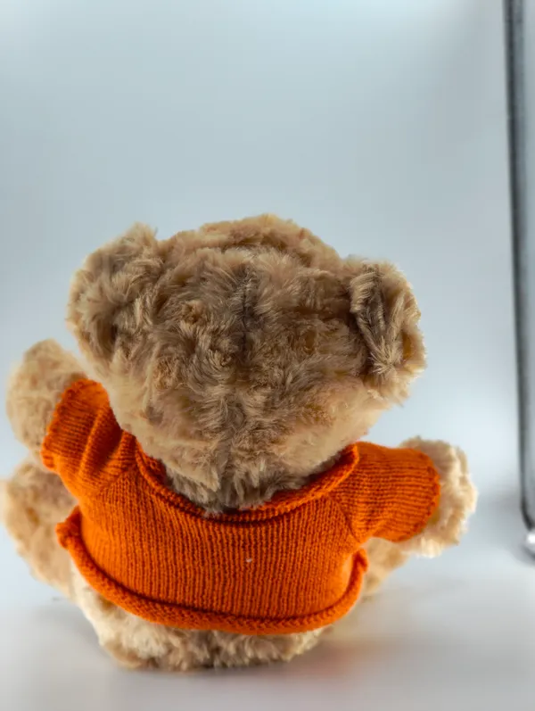 Soft_Plush_Teddy_Bear_With_Orange_Sweater