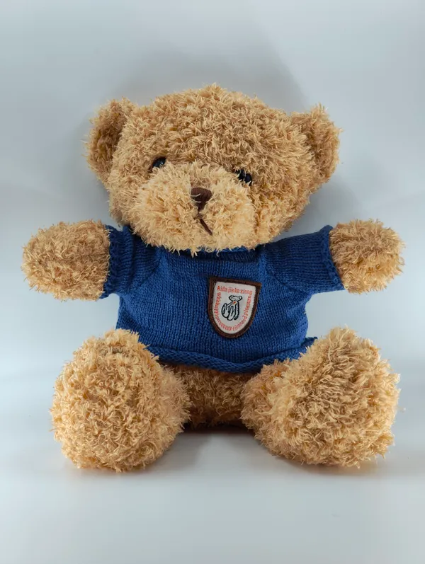 Plush_Teddy_Bear_With_Blue_Sweater