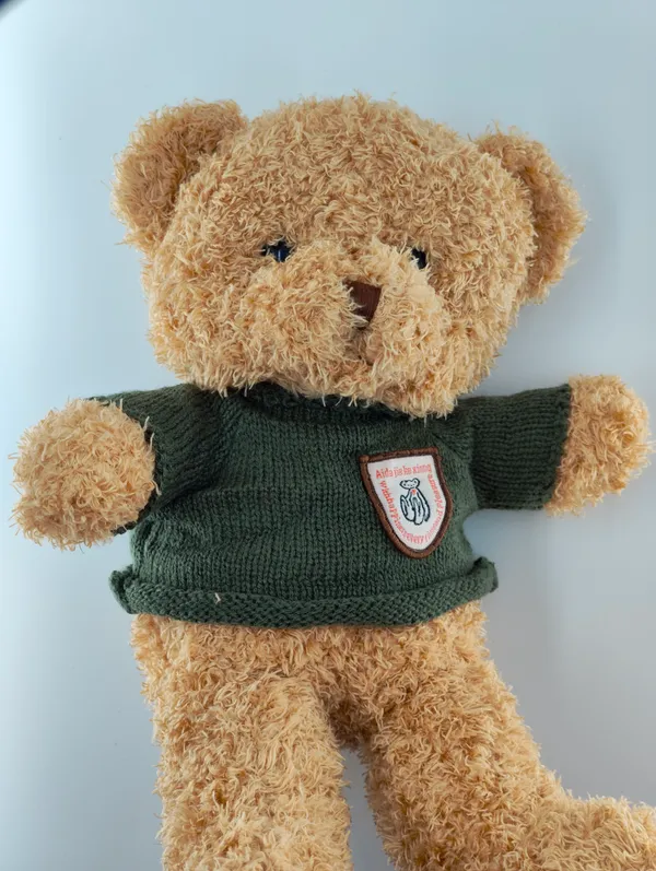 Soft_Brown_Teddy_Bear_With_Green_Sweater