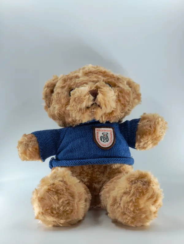 Plush_Teddy_Bear_With_Blue_Sweater