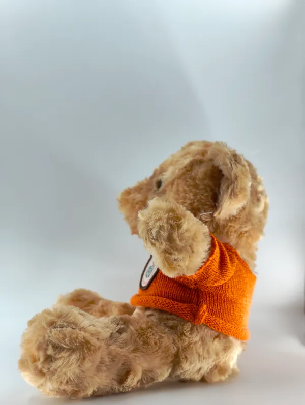 Soft_Plush_Teddy_Bear_With_Orange_Sweater