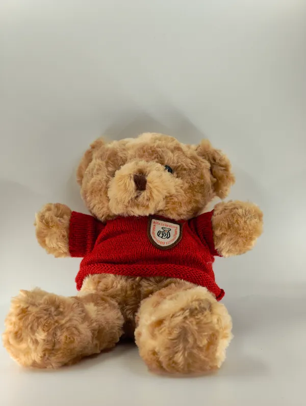 Soft_Plush_Teddy_Bear_With_Red_Sweater