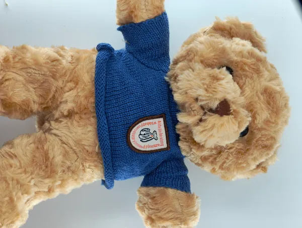 Plush_Teddy_Bear_With_Blue_Sweater