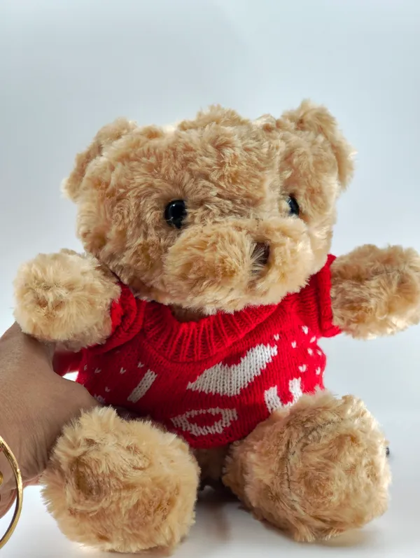 Cute_Teddy_Bear_Soft_Toy_With_Removable_Sweater