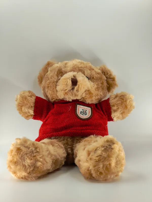 Soft_Plush_Teddy_Bear_With_Red_Sweater