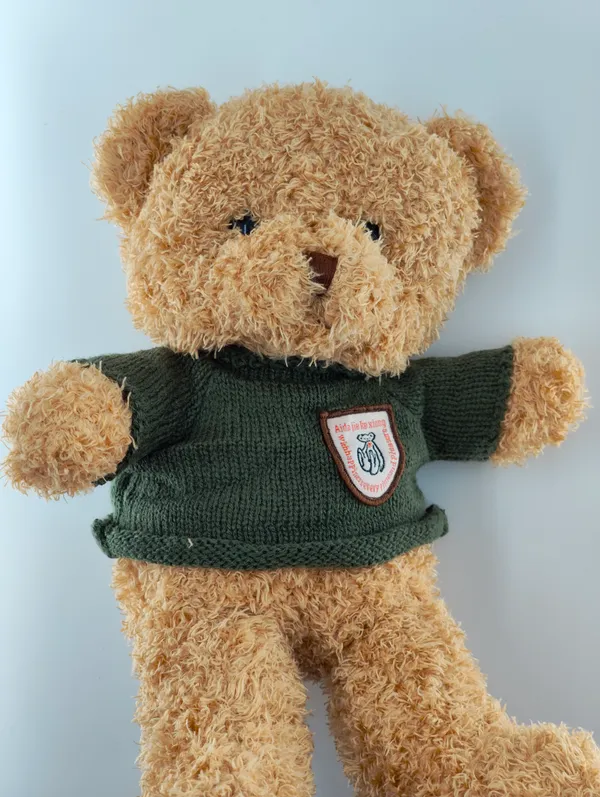 Soft_Brown_Teddy_Bear_With_Green_Sweater
