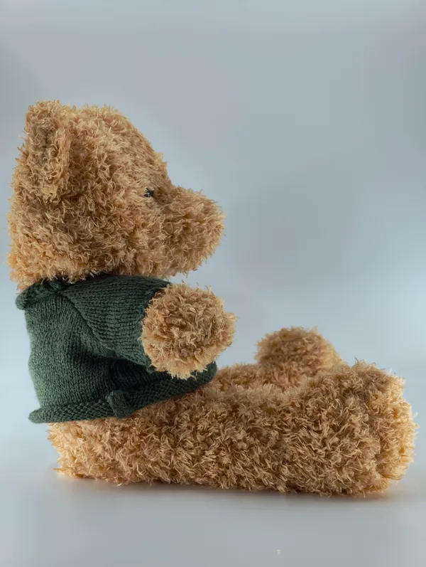 Soft_Brown_Teddy_Bear_With_Green_Sweater