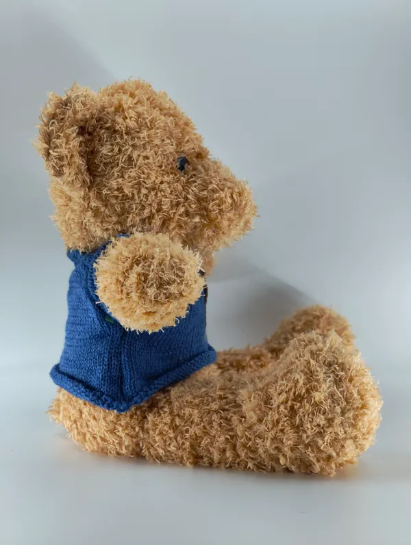 Plush_Teddy_Bear_With_Blue_Sweater