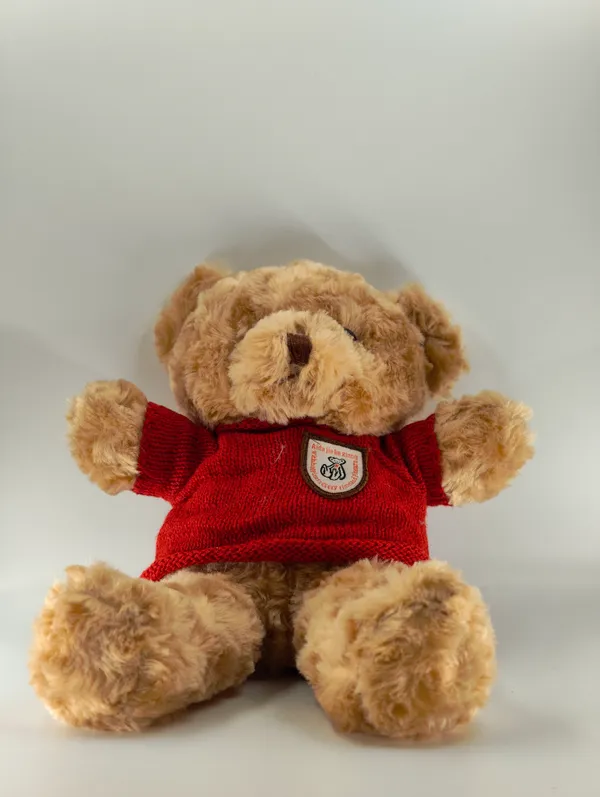 Soft_Plush_Teddy_Bear_With_Red_Sweater