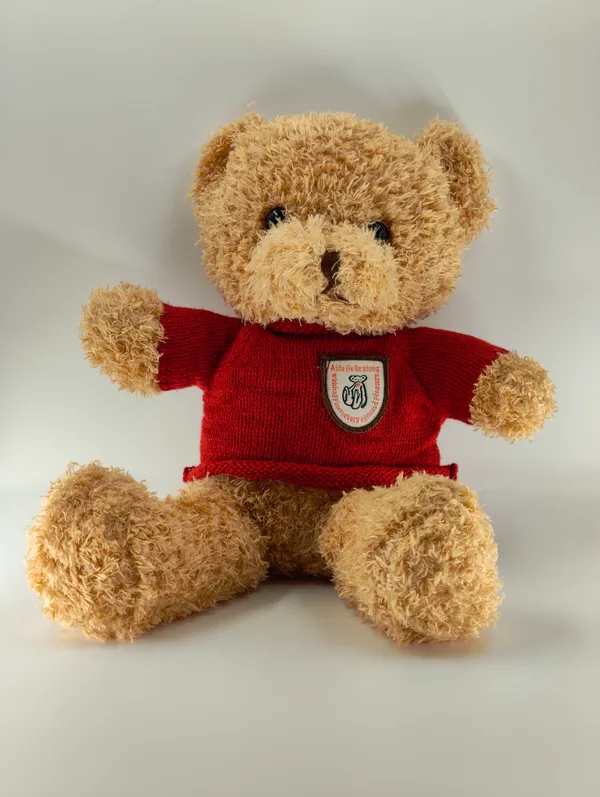 Cute_Teddy_Bear_Soft_Toys_Brown_Bears_In_Striped_And_Shield_Sweaters