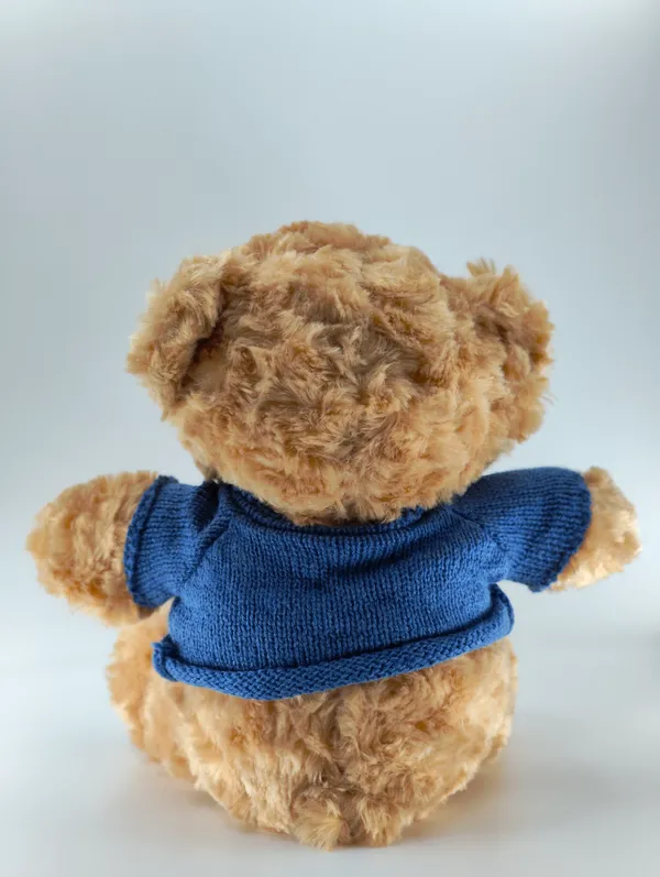 Plush_Teddy_Bear_With_Blue_Sweater